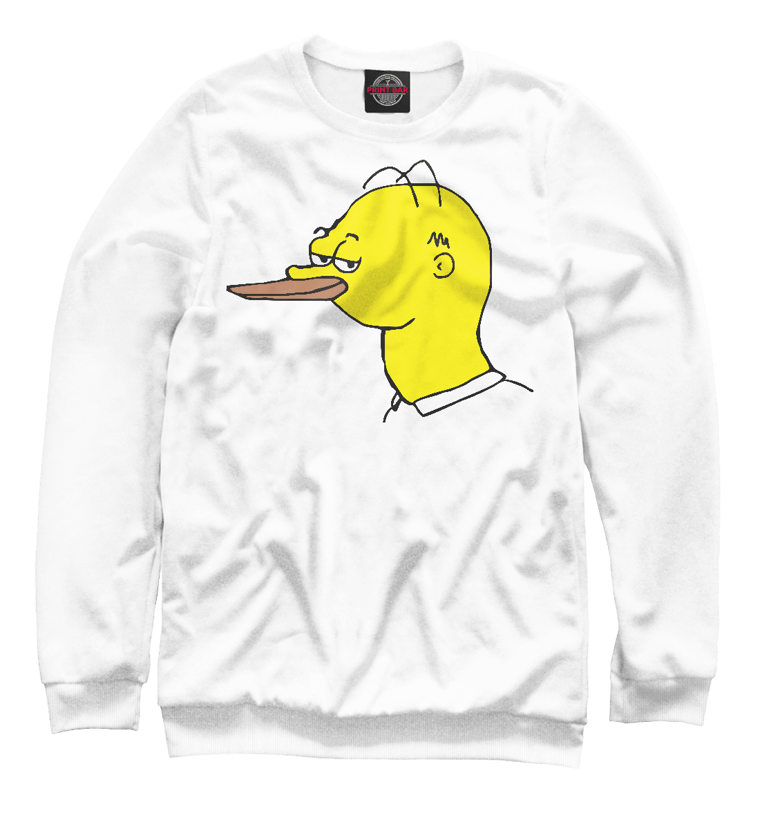 

Homer the Duck