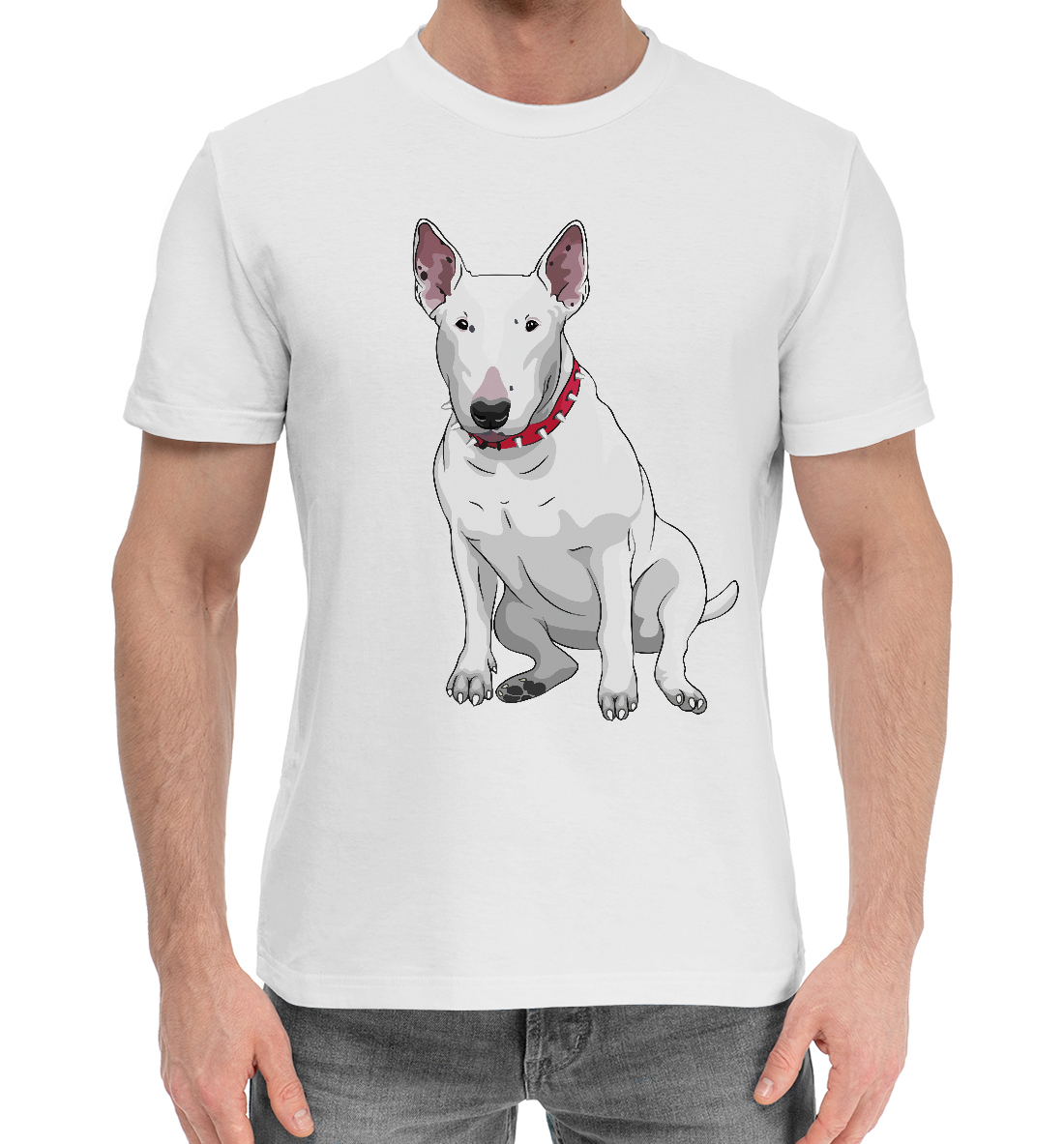 

Bull terrier