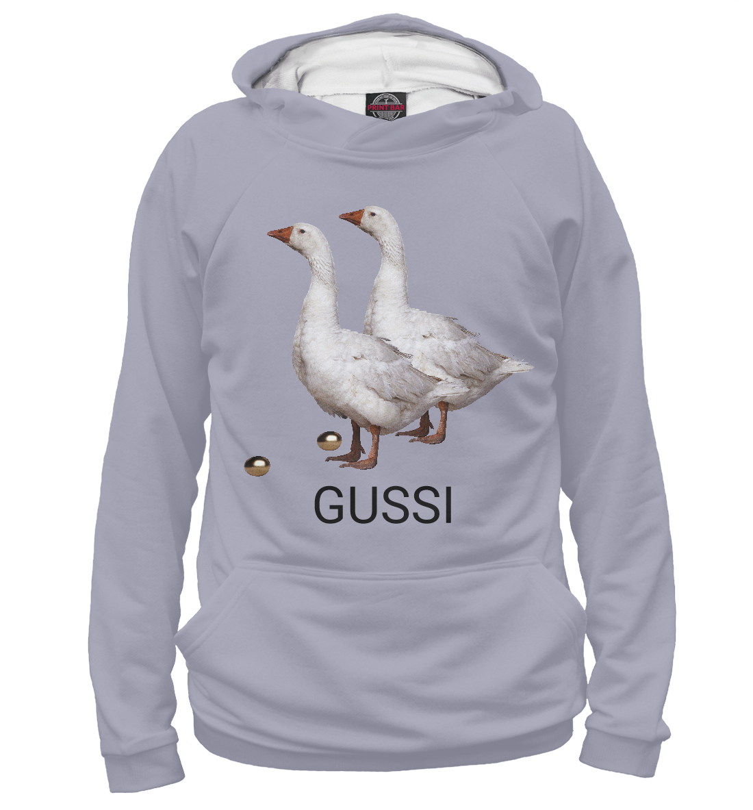 

GUSSI