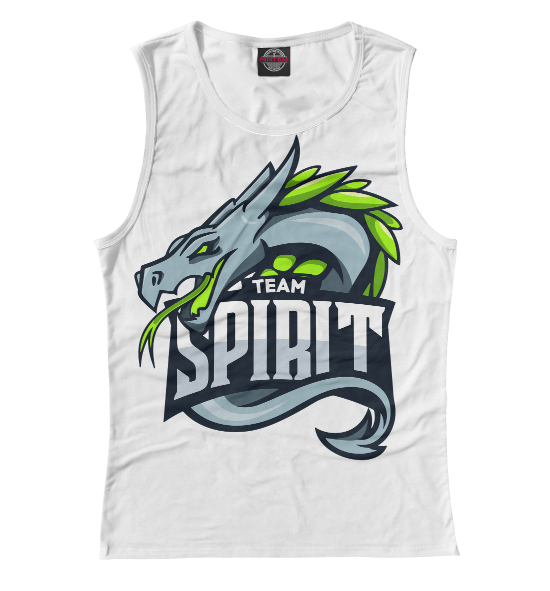 

Spirit / CS:GO Team