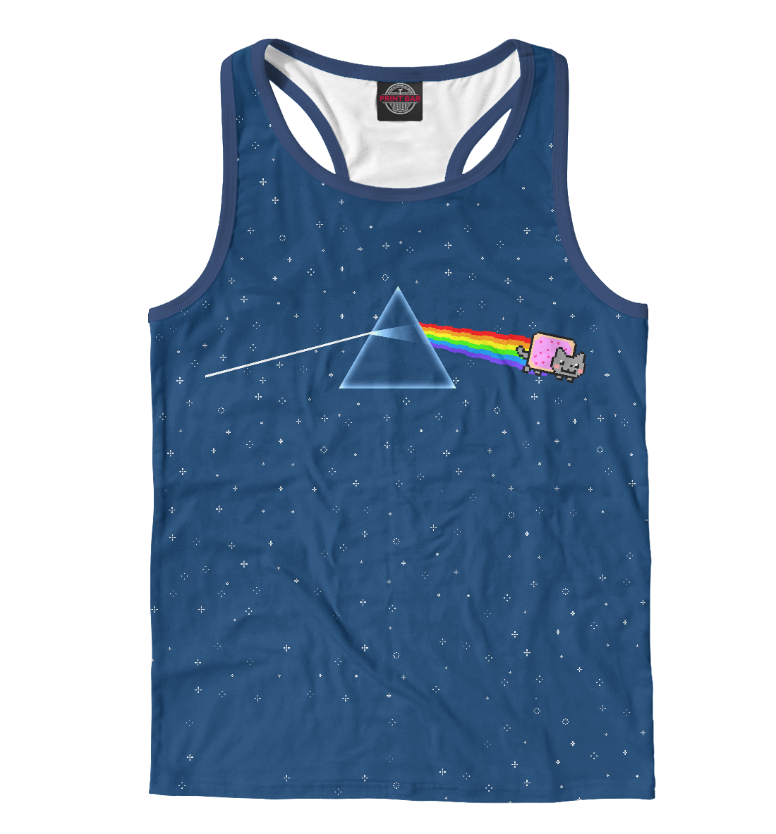 

Pink Floyd cat