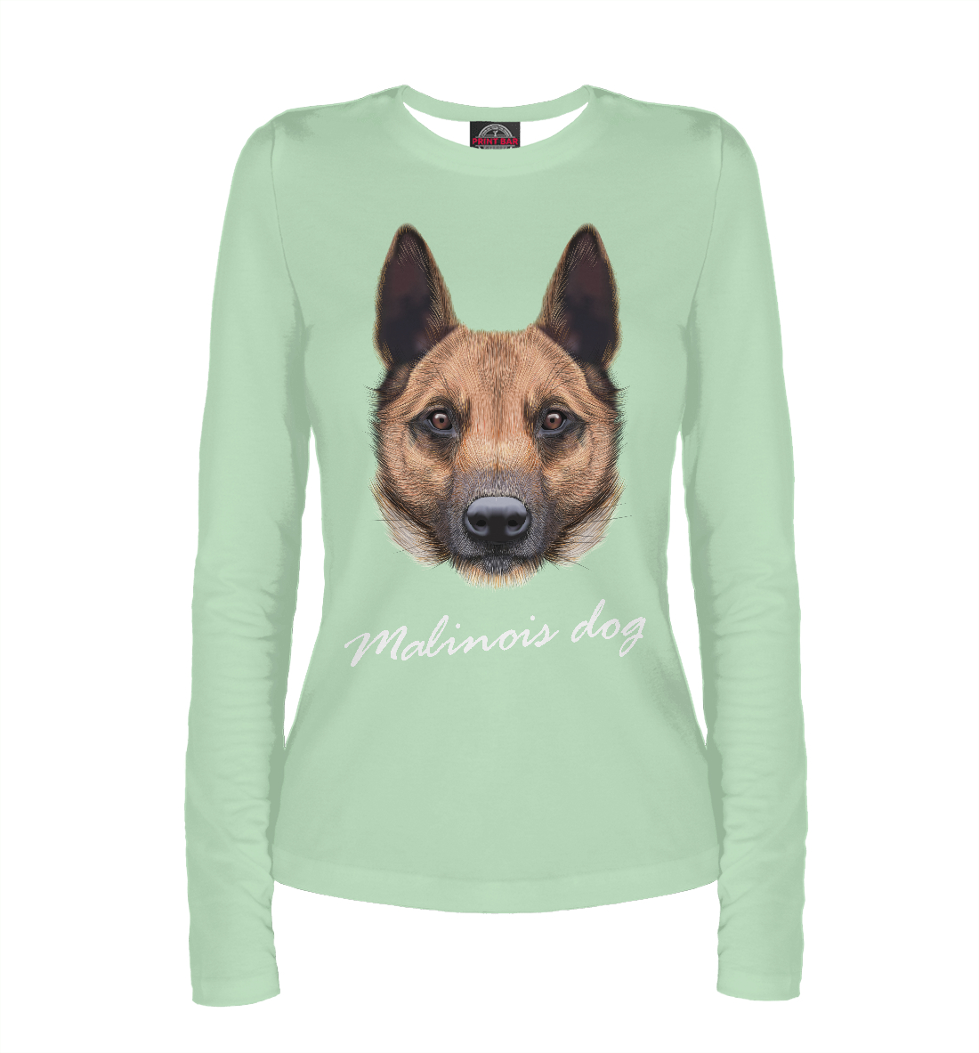 

Malinois dog