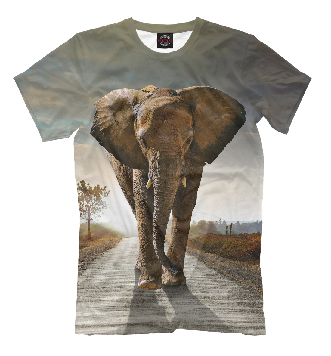 

Слон на дороге