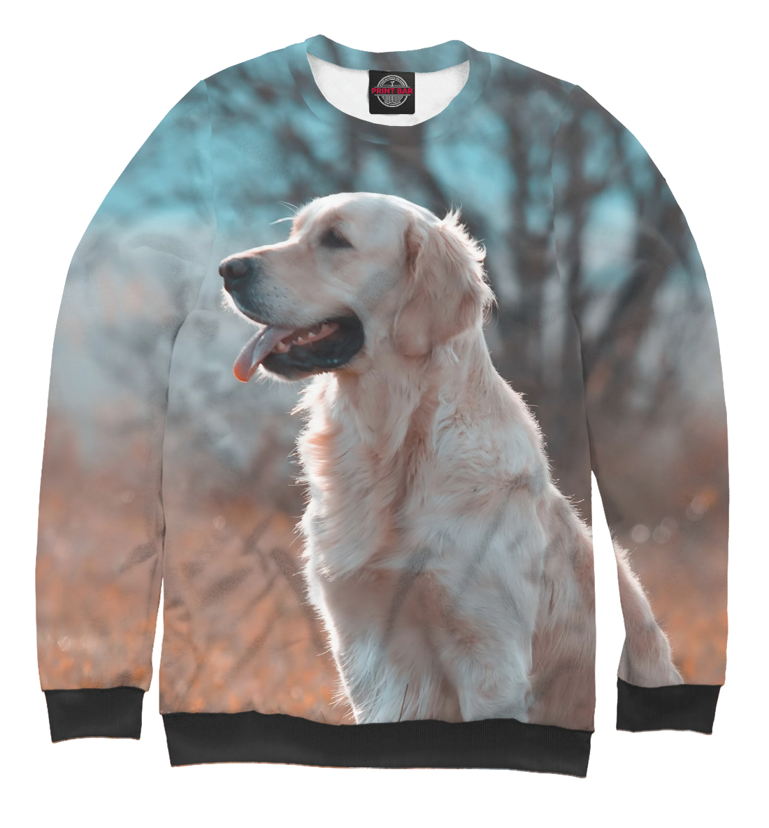 

Красивый Пёс