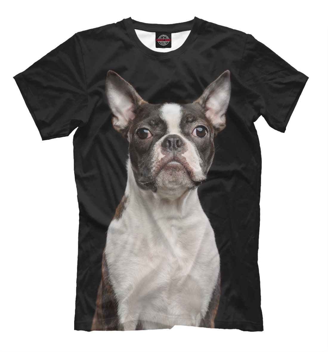 

Бостонский терьер