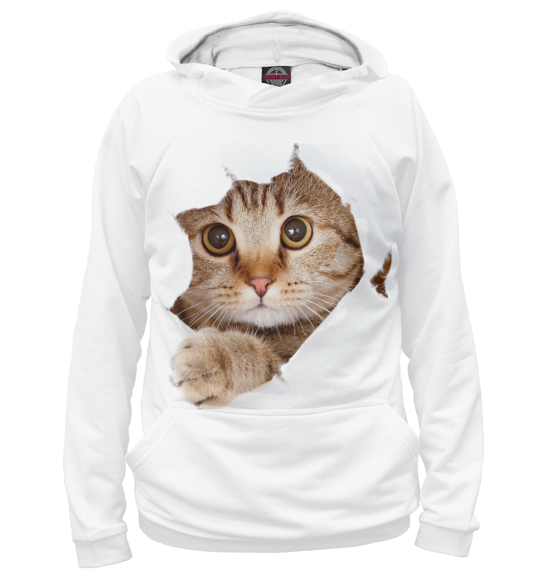 

Котик