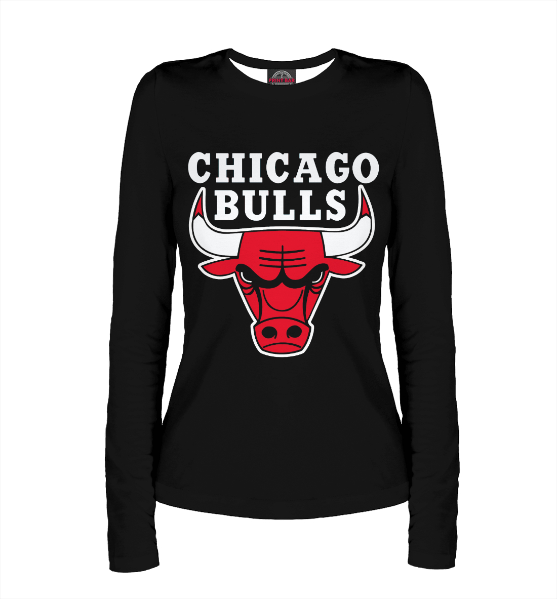 

CHICAGO BULLS