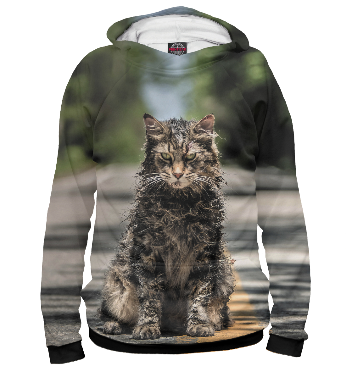 

Dead Cat
