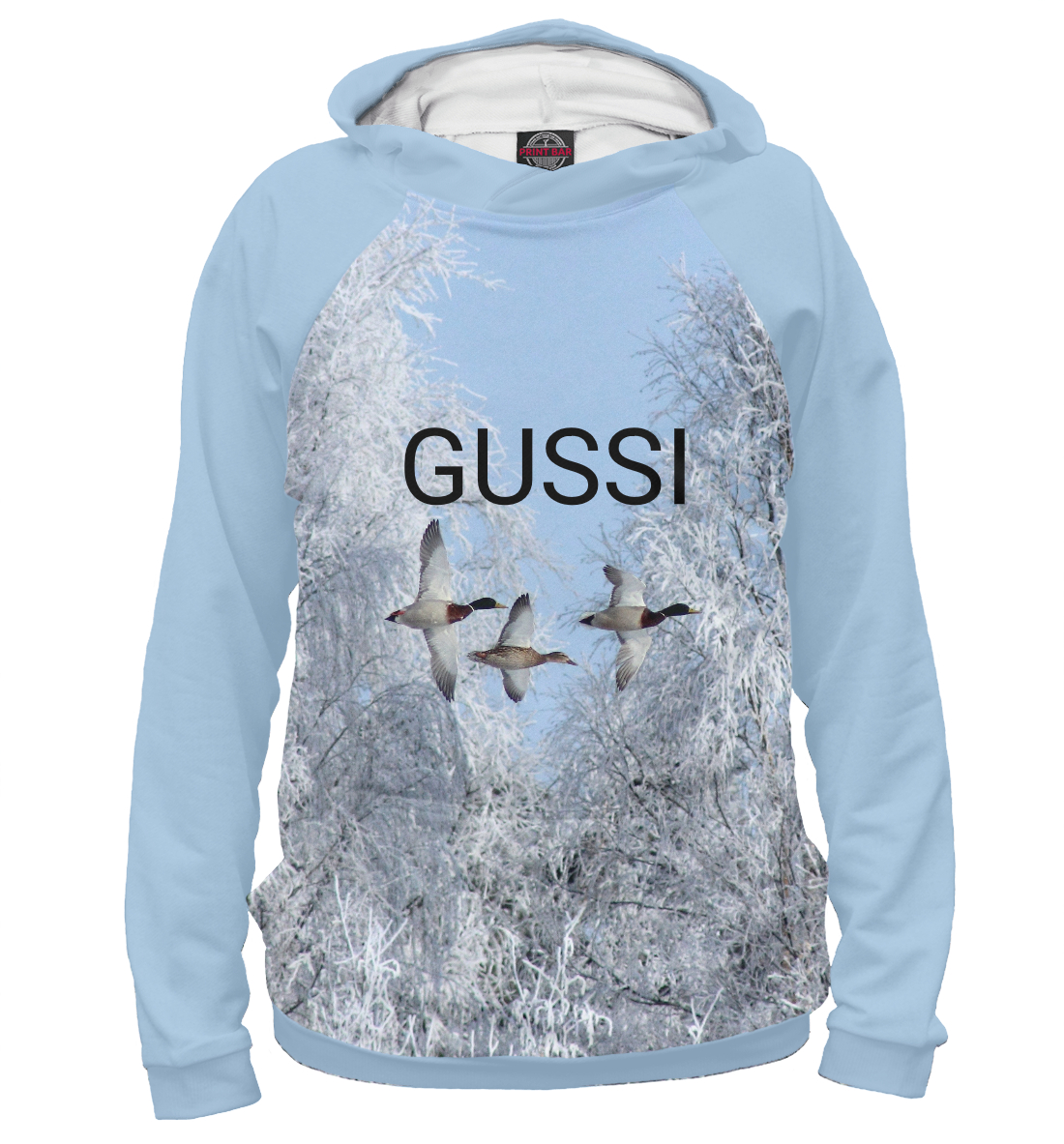 

GUSSI