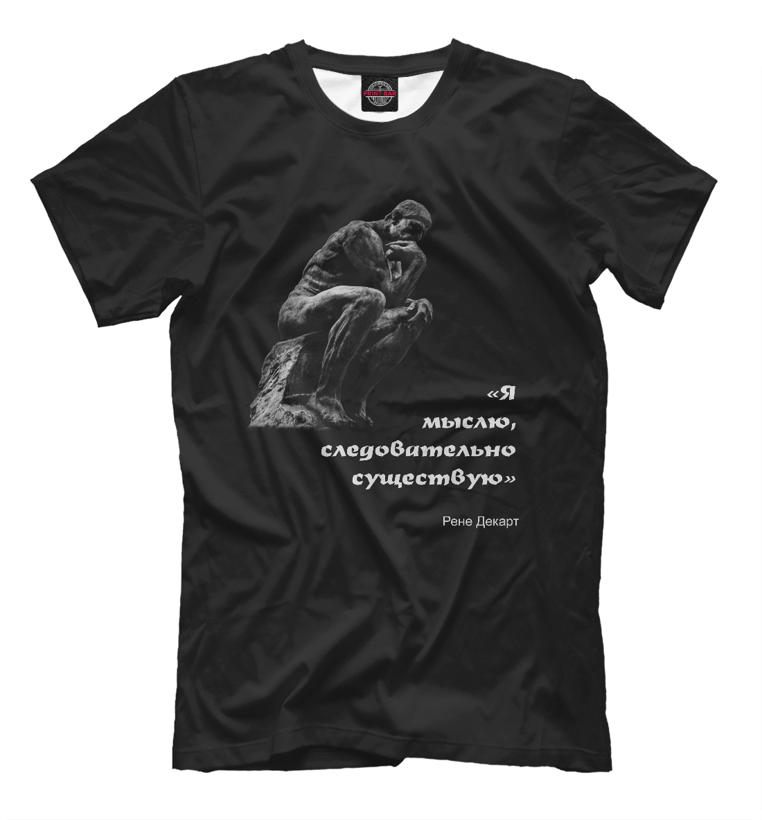 

Я мыслю, следовательно существую.