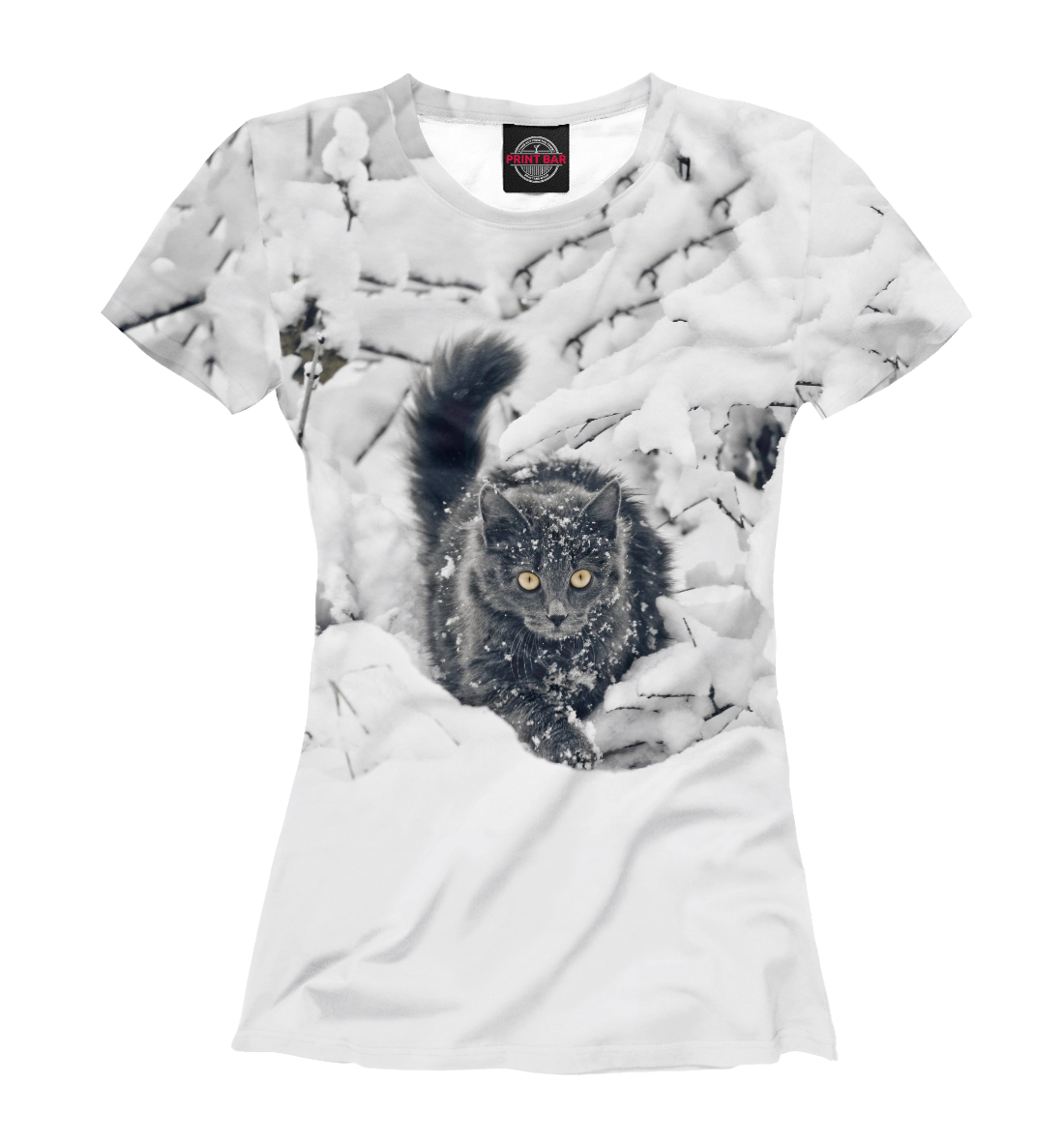 

Кот в Снегу