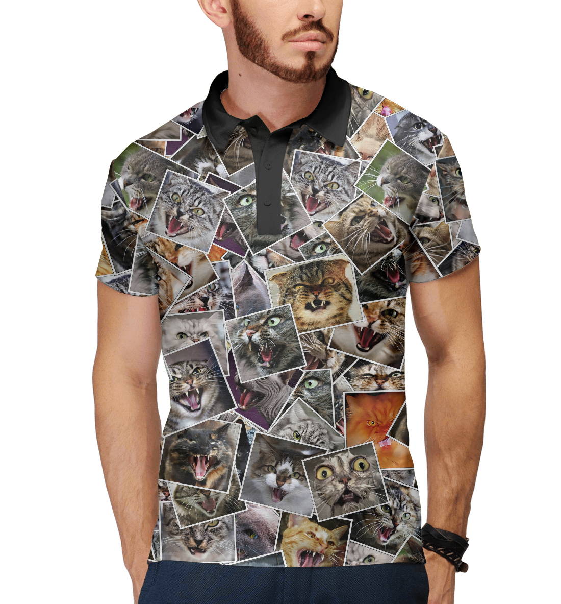 

Агрессивные коты