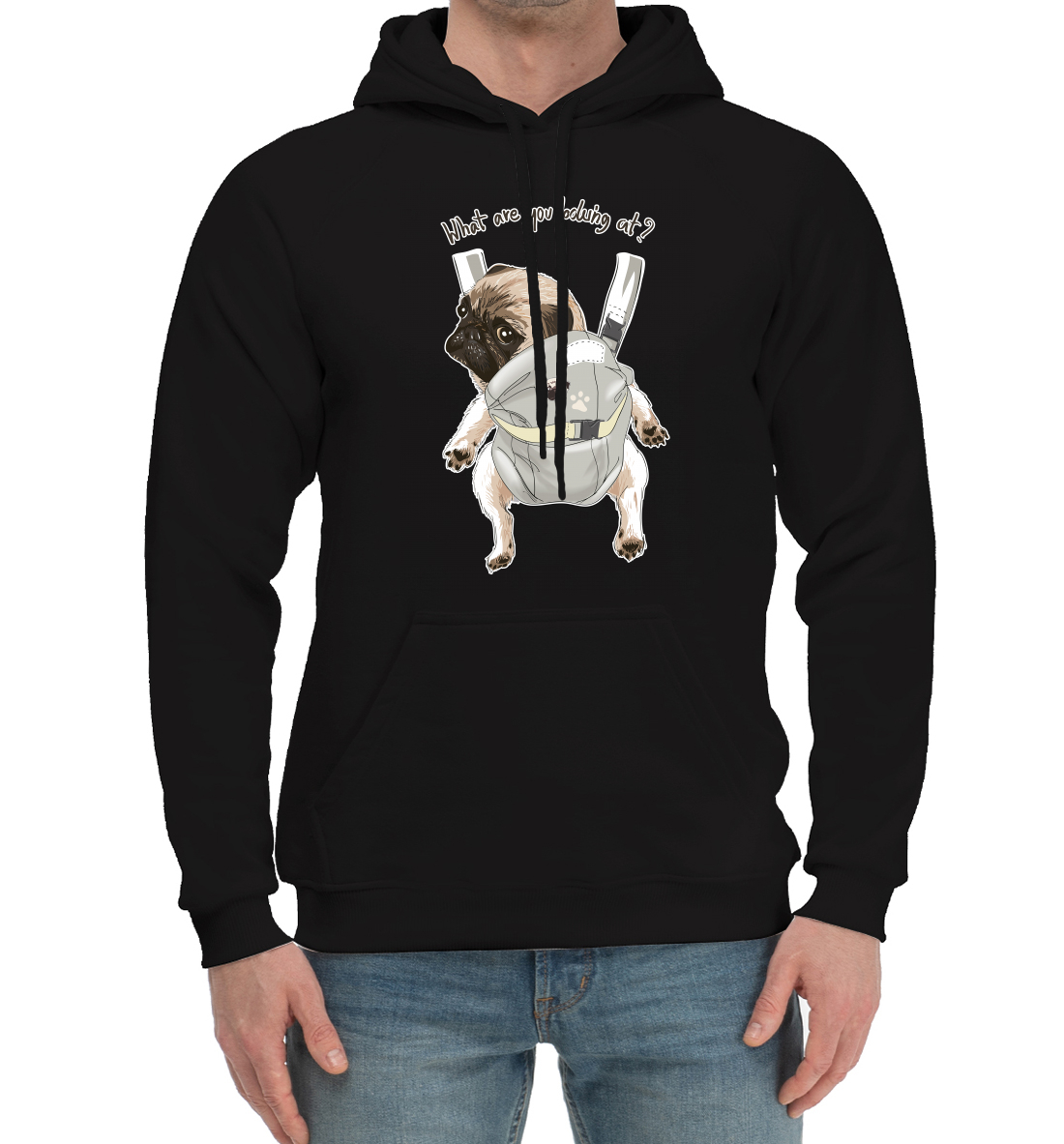 

Мопс в рюкзаке