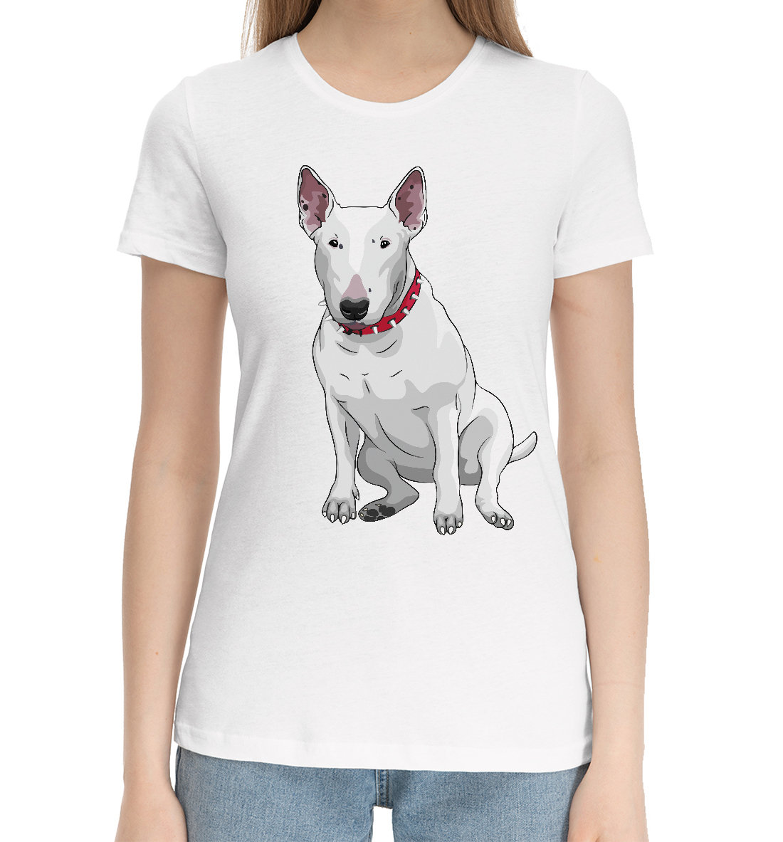 

Bull terrier