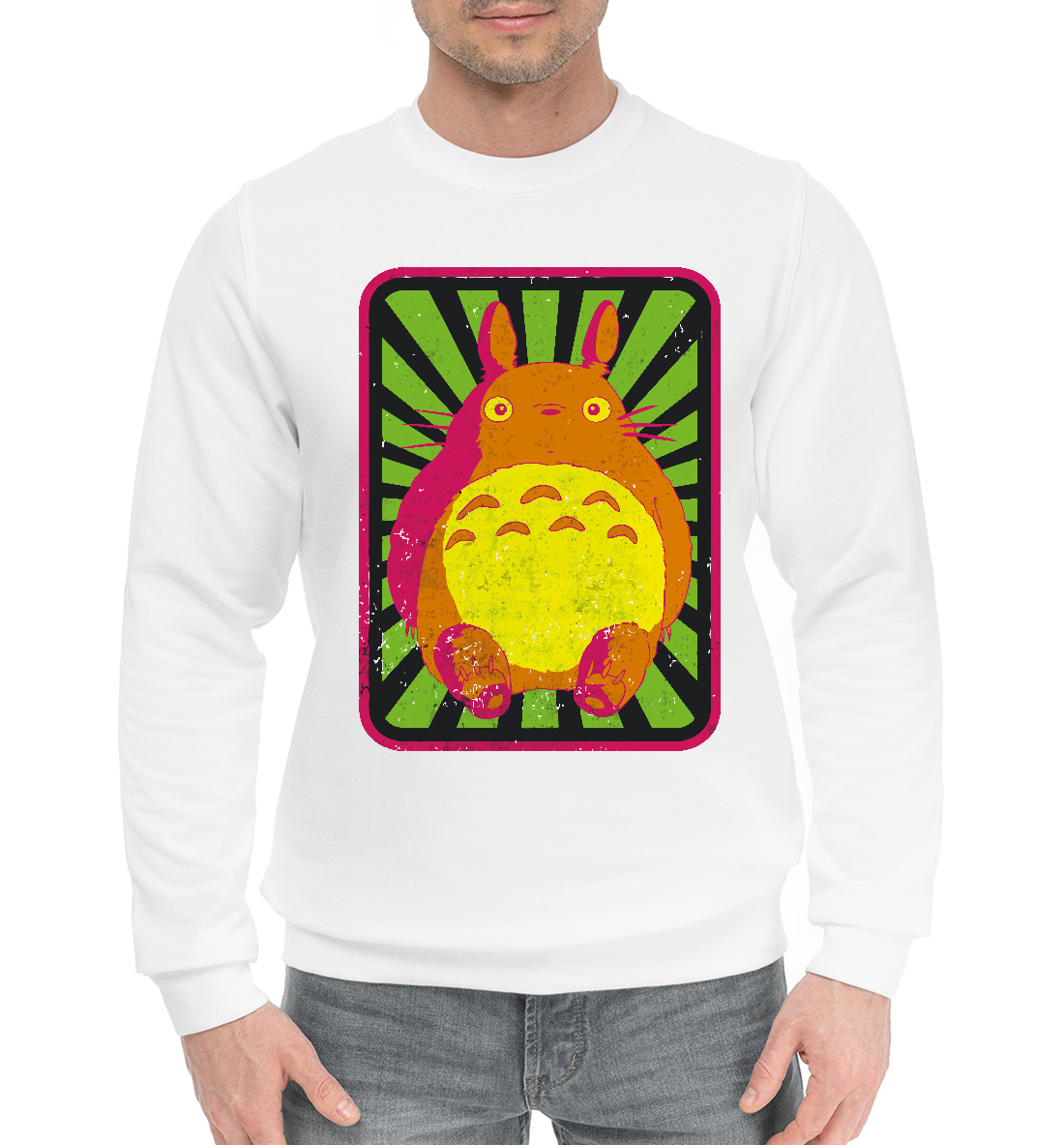 

Retro Totoro