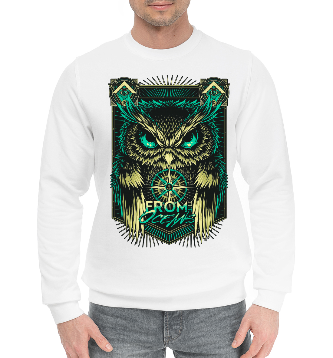 

Сова Минервы