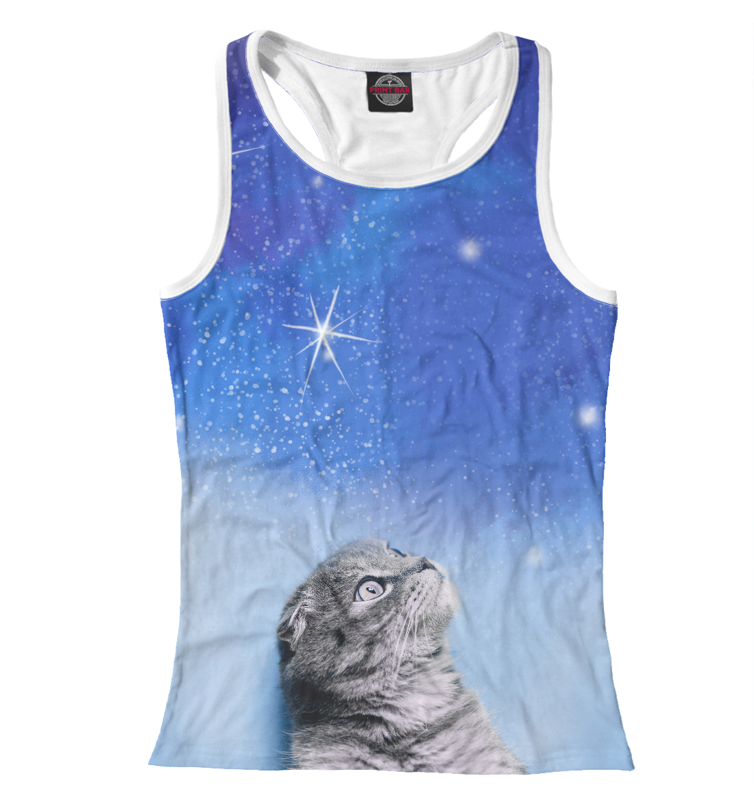 

Кот и космос