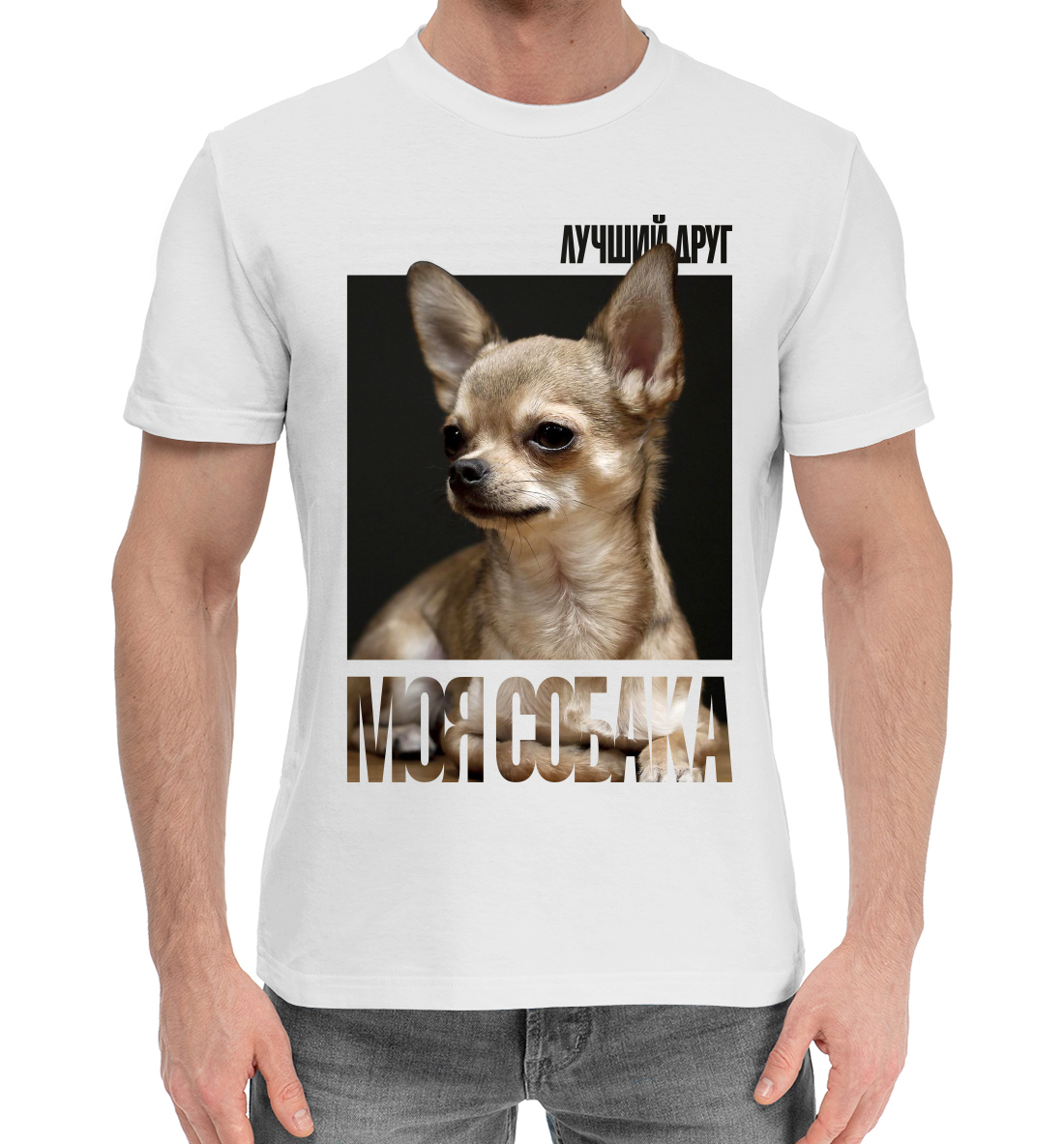 

Лучший друг - моя собака