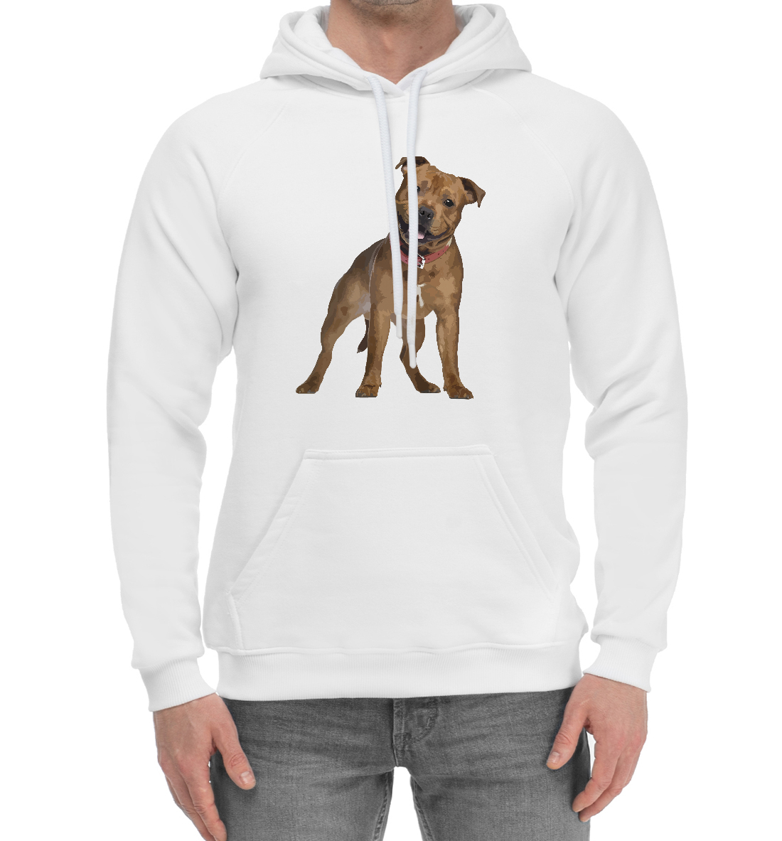 

Pit bull