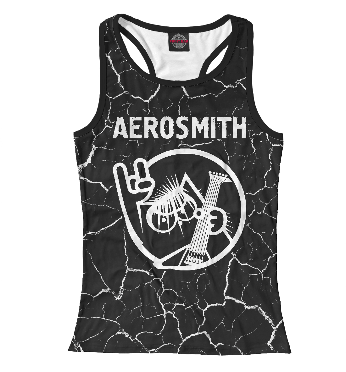 

Aerosmith / Кот