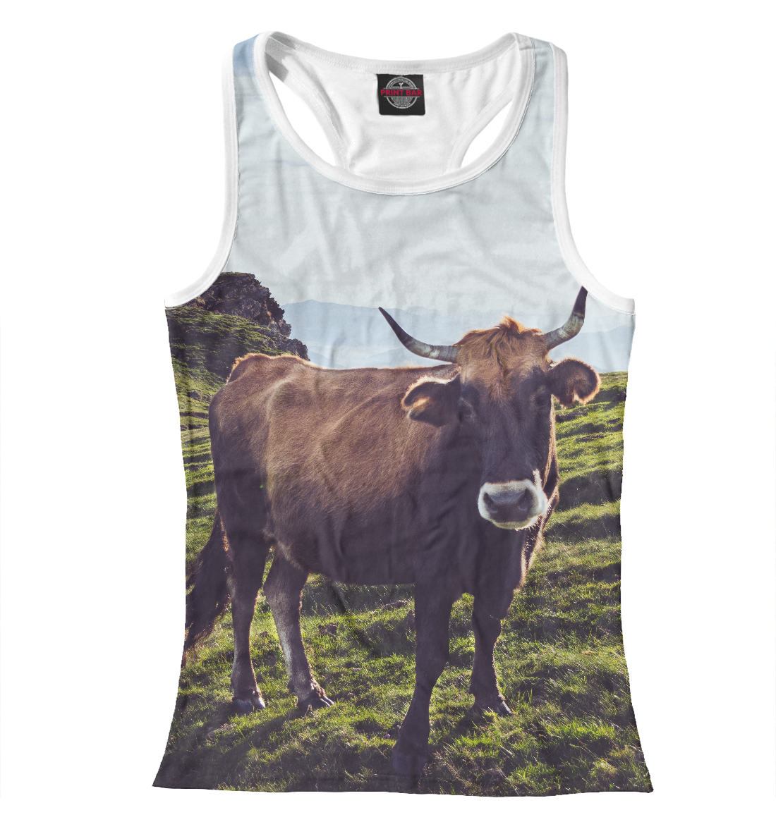 

Бык сельский