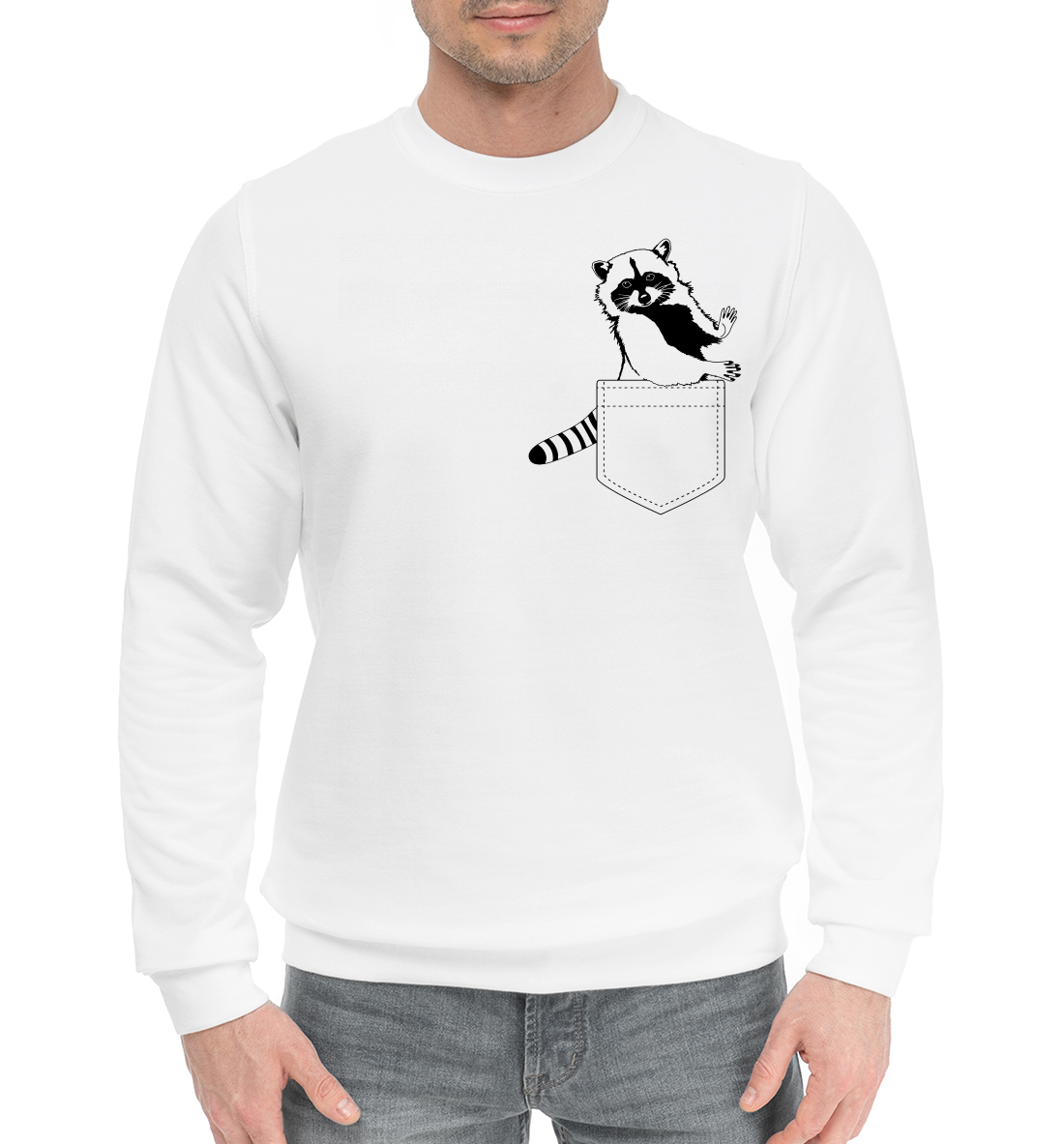 

Енот в кармане