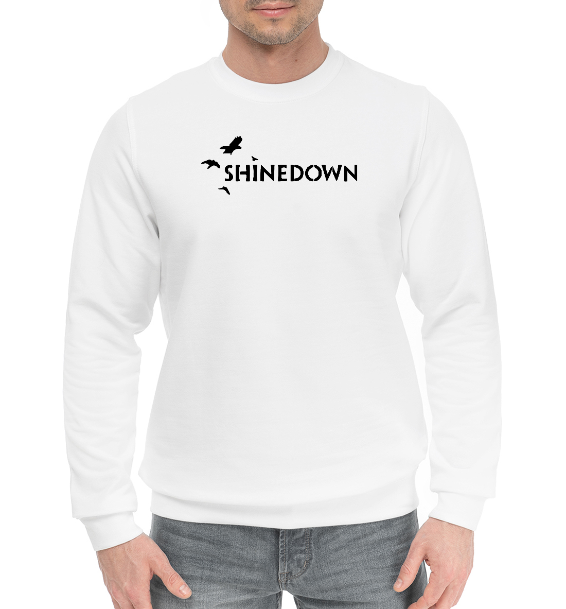 

Shinedown