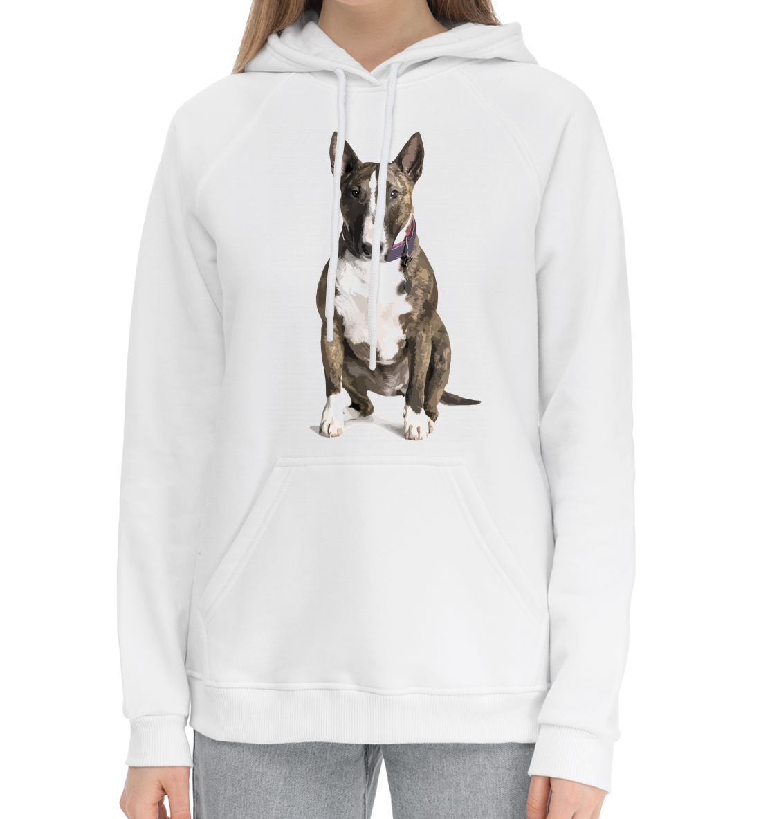 

Bull terrier