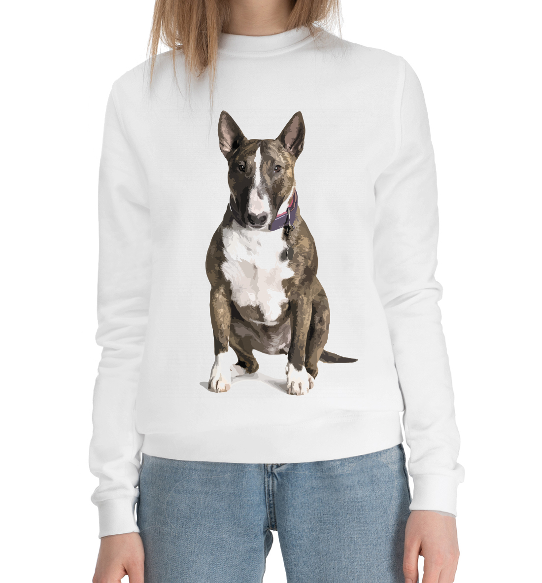 

Bull terrier