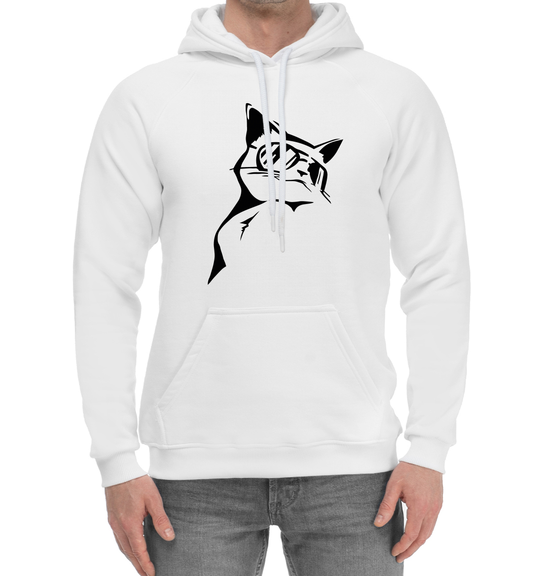 

Кот в очках