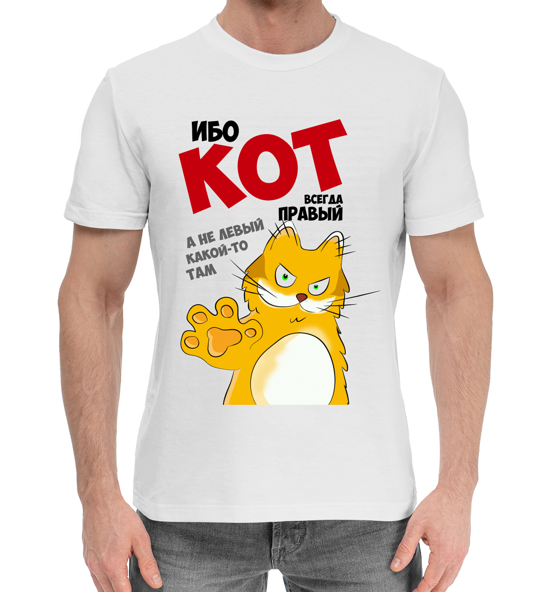 

Кот всегда правый