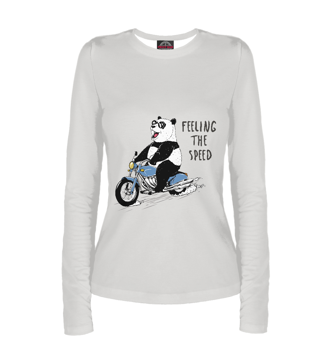 

Панда на мотоцикле