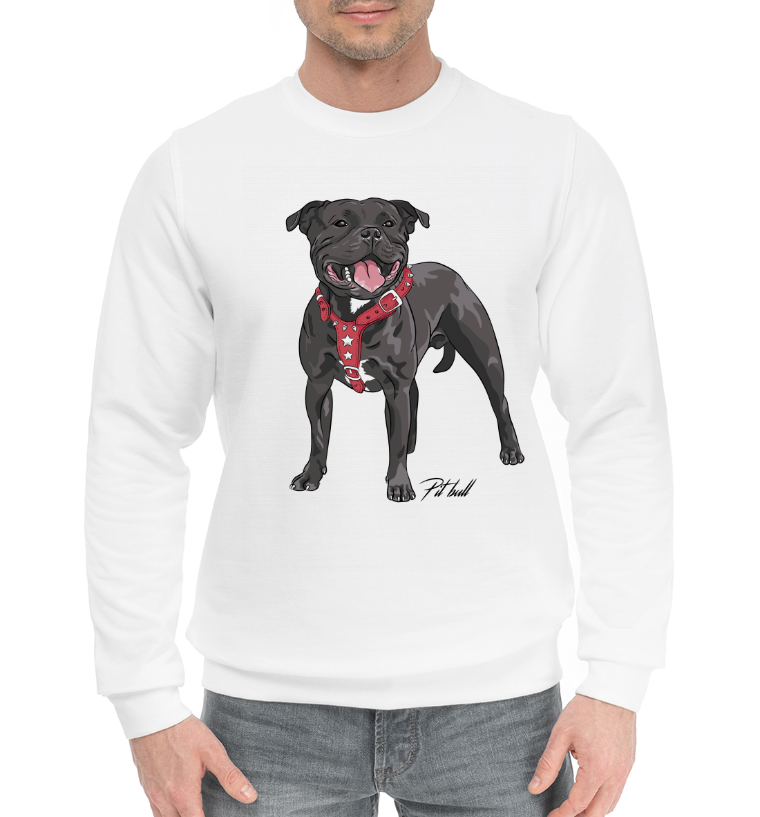 

Fighting pit bull
