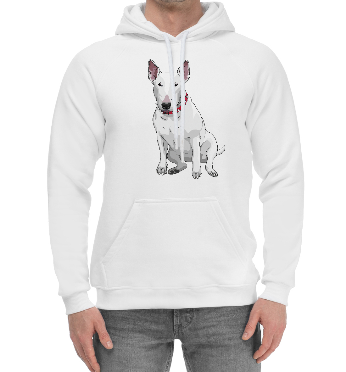 

Bull terrier