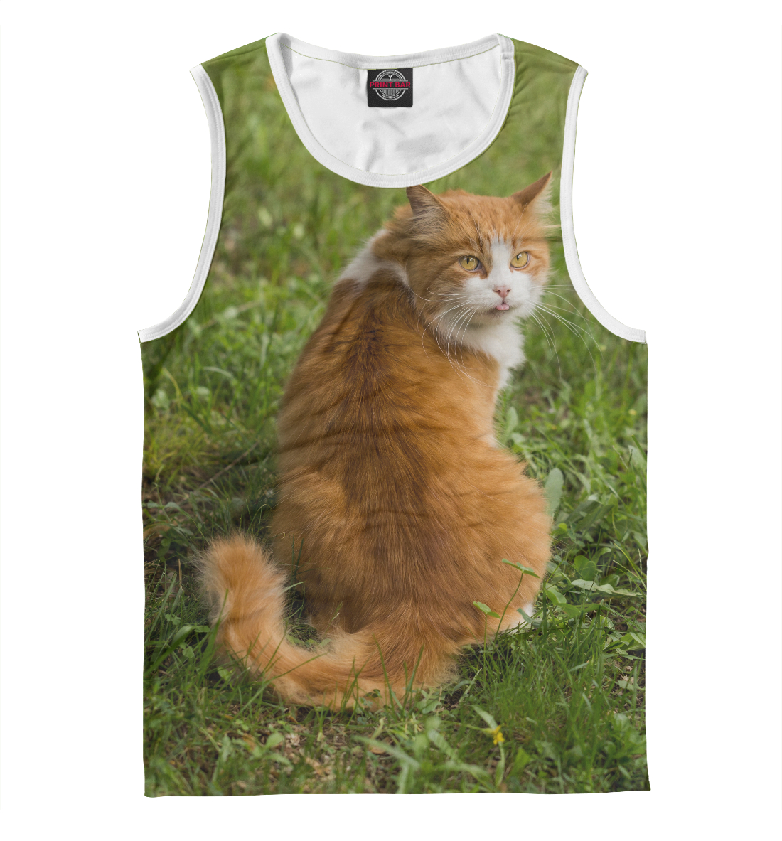 

Котэ