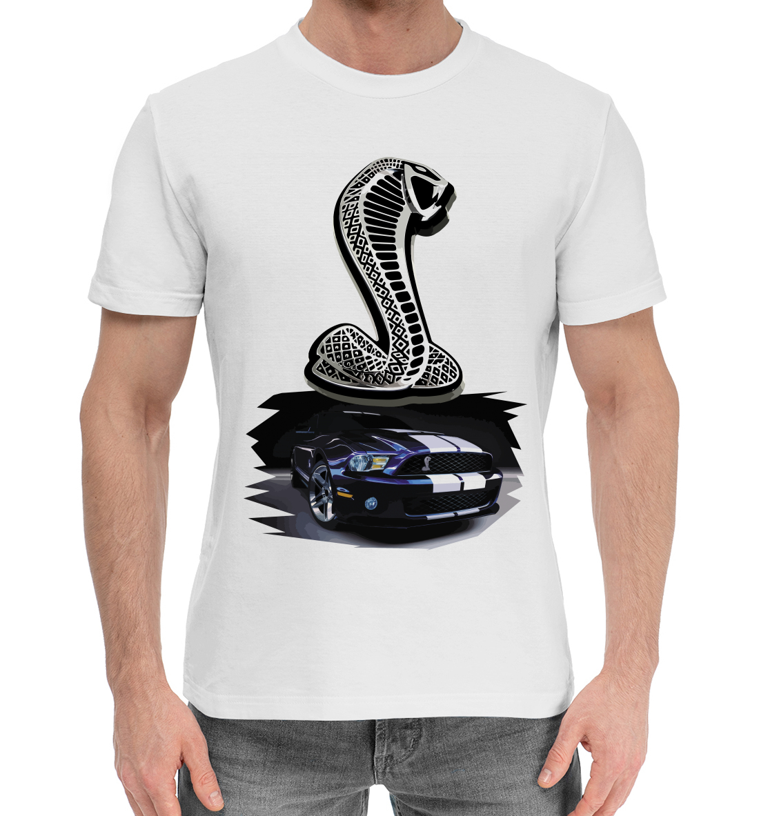 

Mustang Shelby