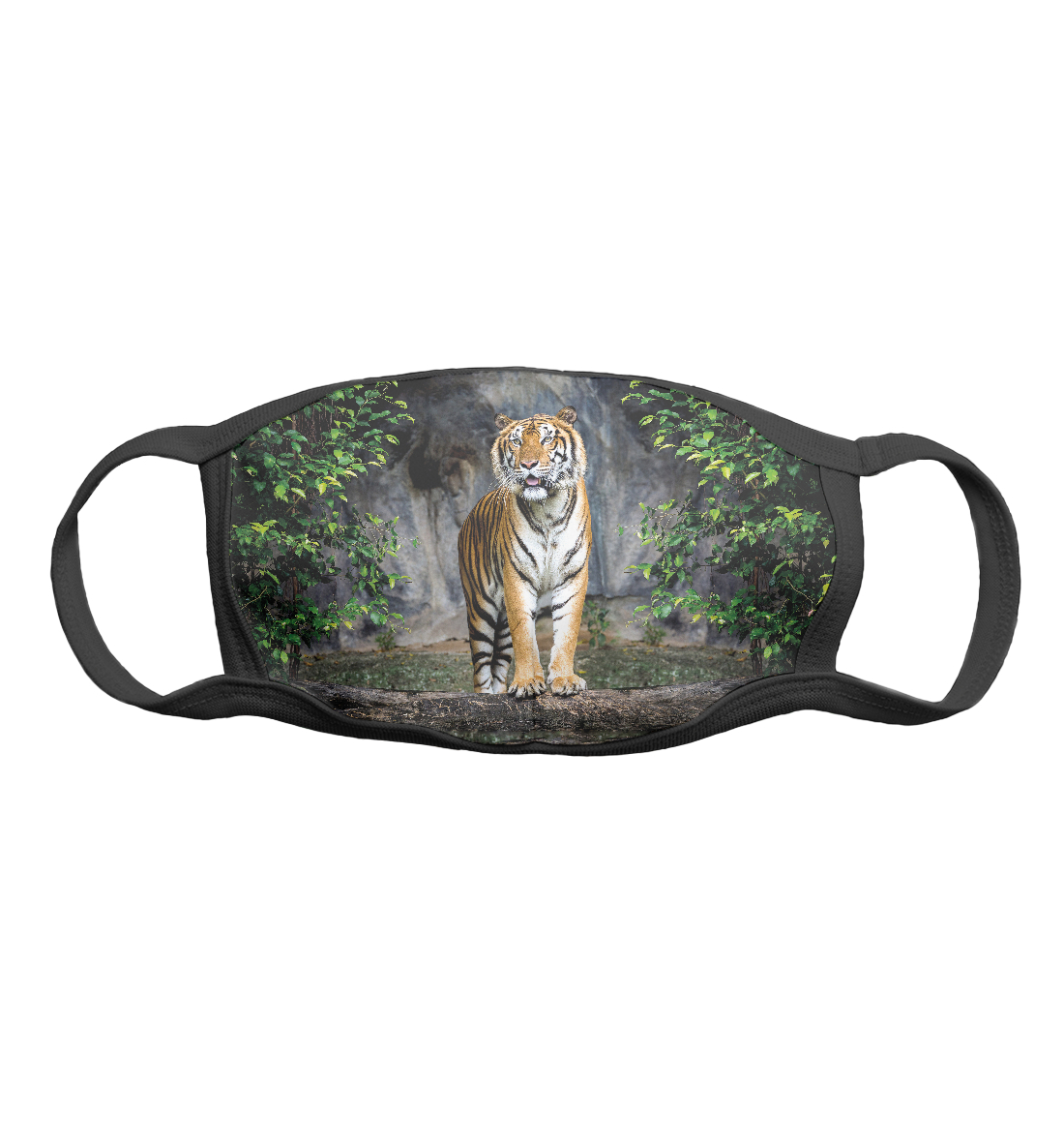 

Тигр в Лесу