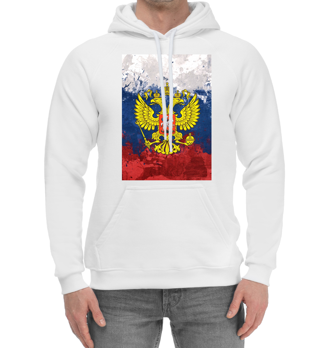 

Триколор и герб