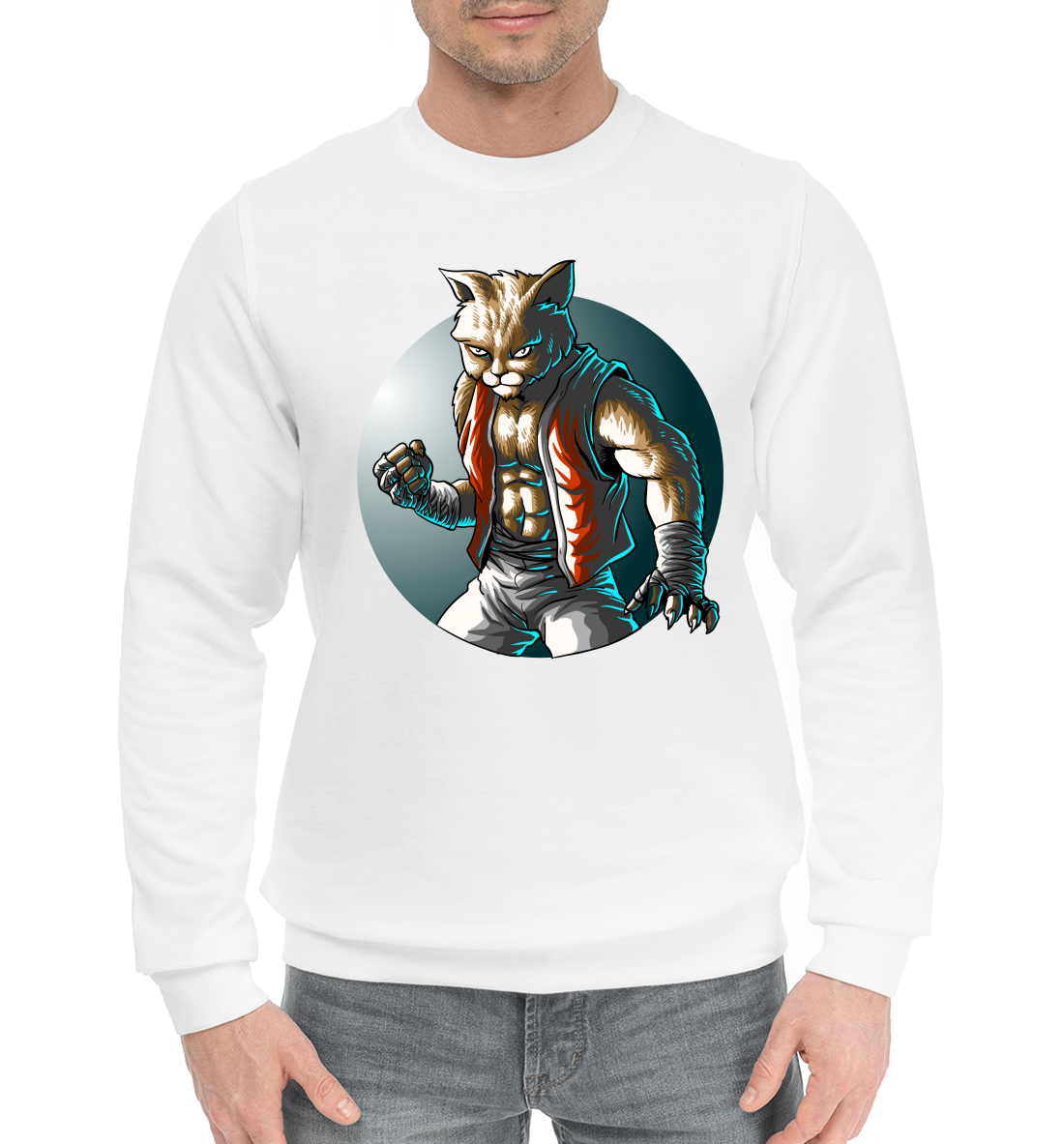 

Cat Fighter