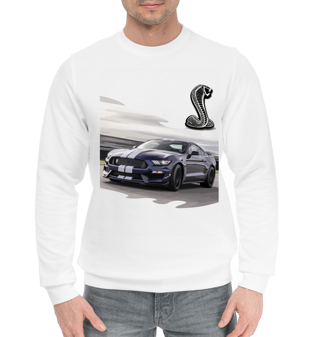 

Mustang Shelby