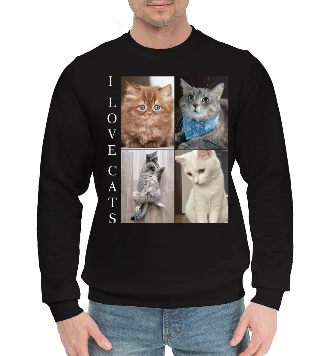

I love cats