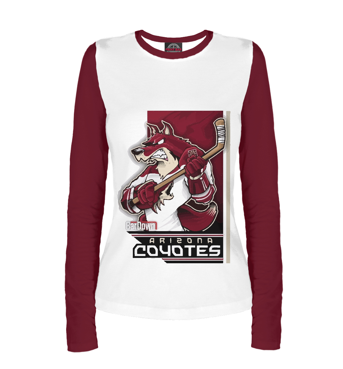 

Arizona Coyotes