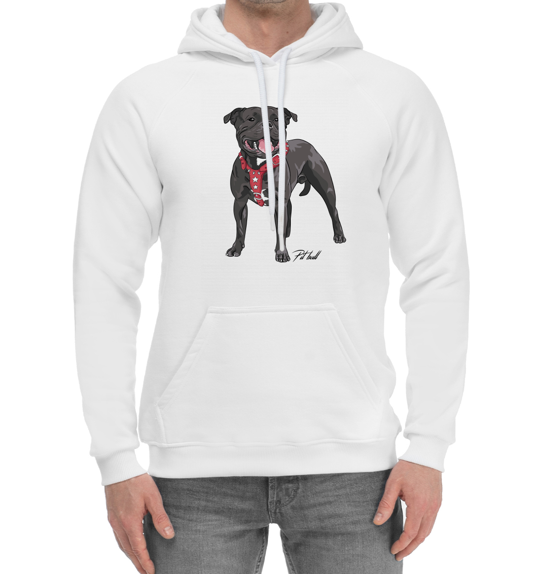 

Fighting pit bull