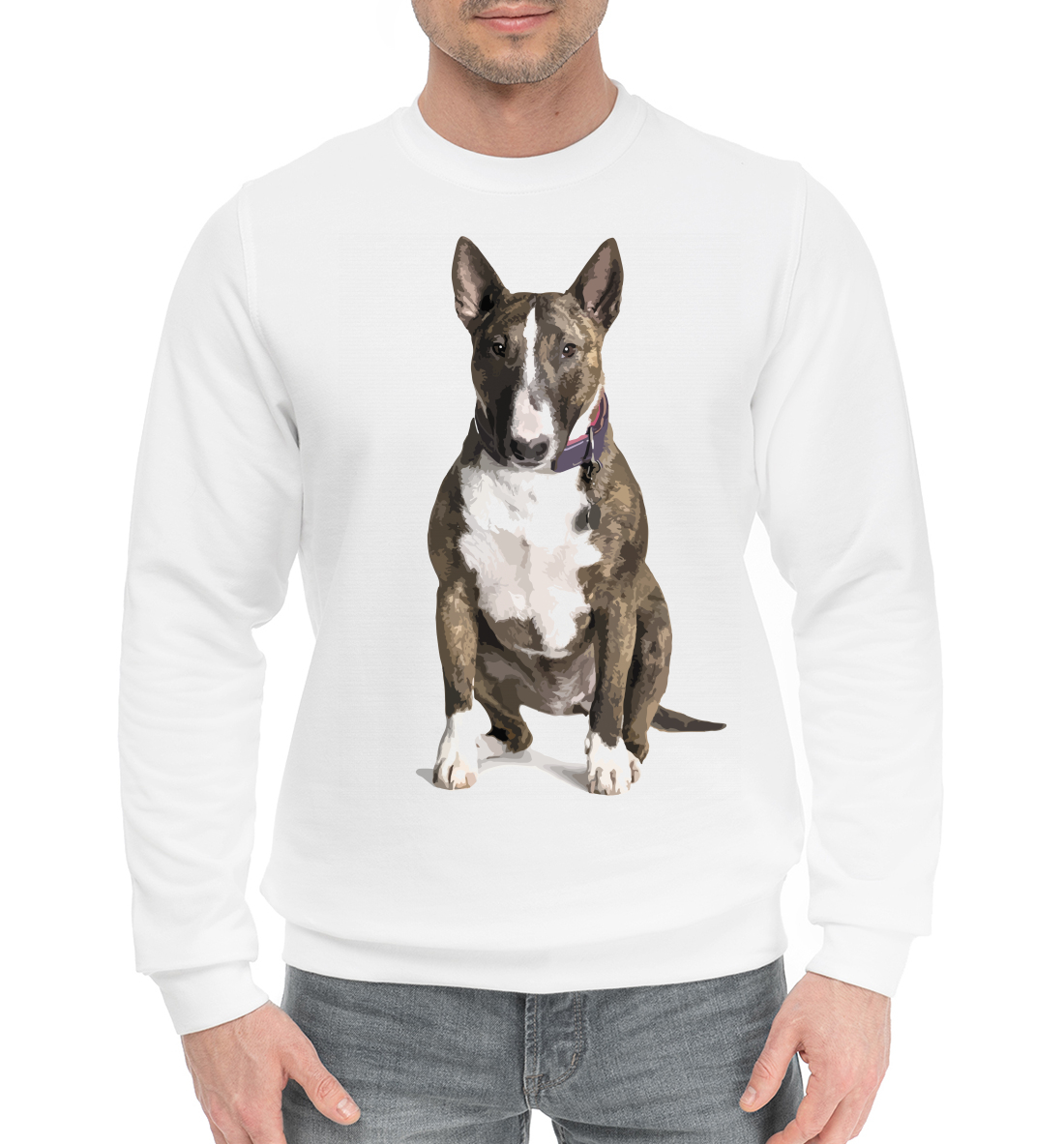 

Bull terrier