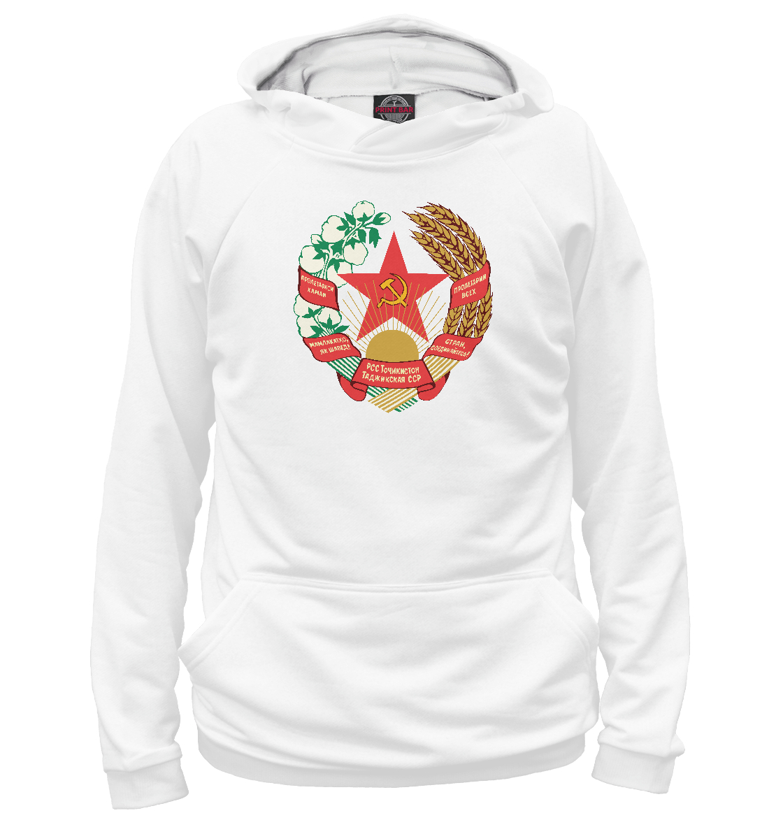 

Таджикская ССР