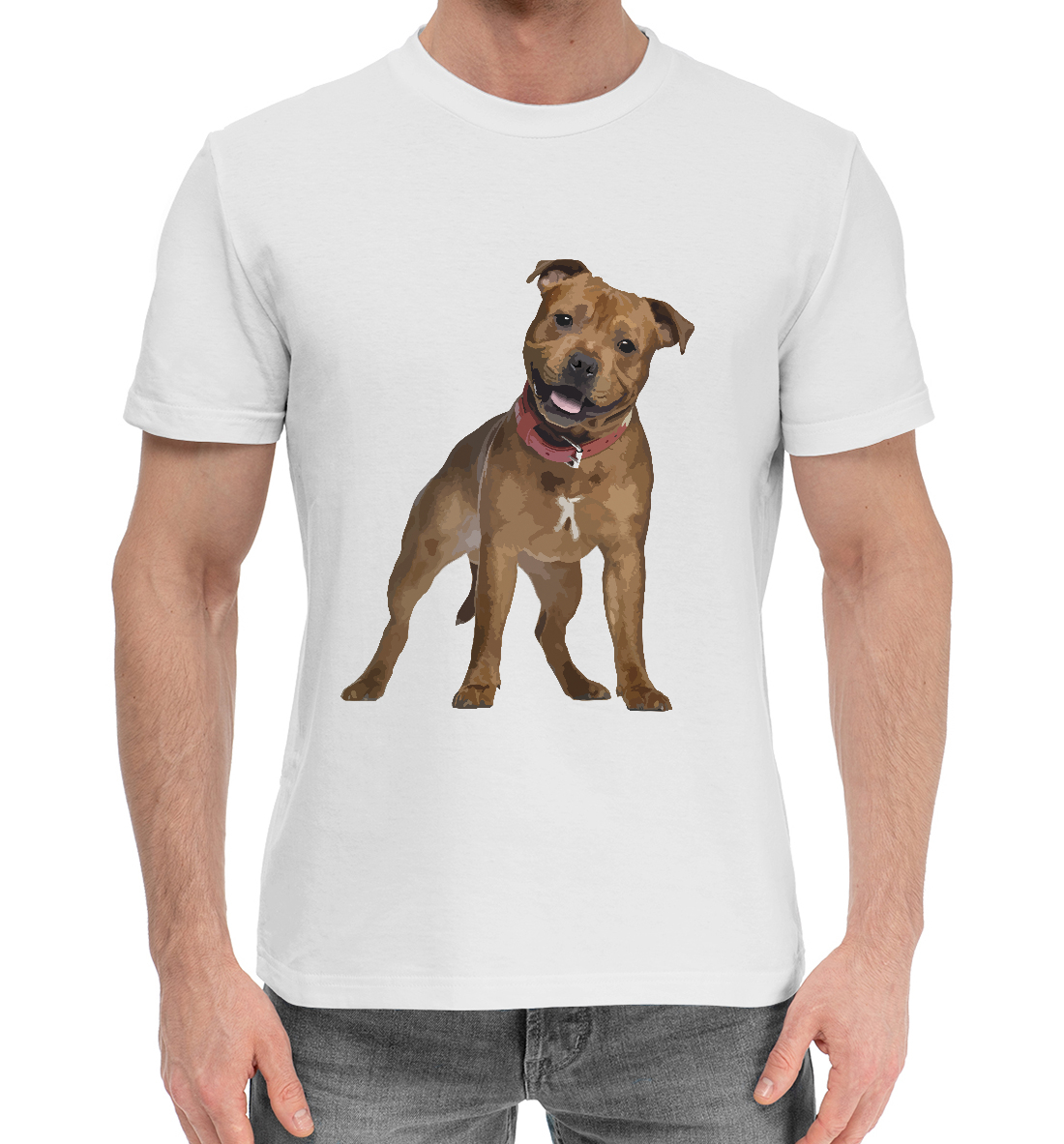 

Pit bull