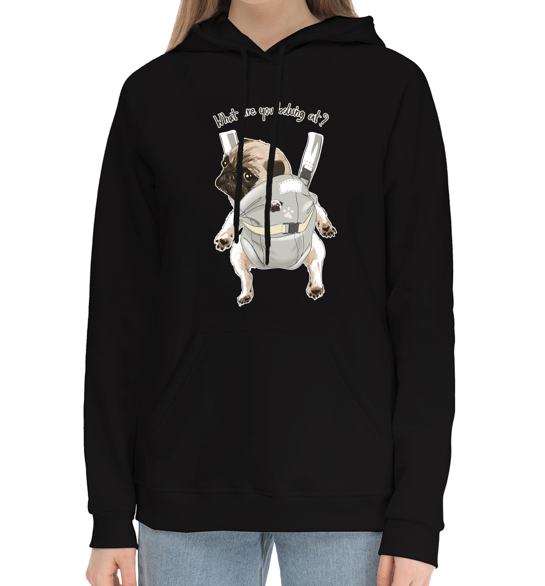 

Мопс в рюкзаке