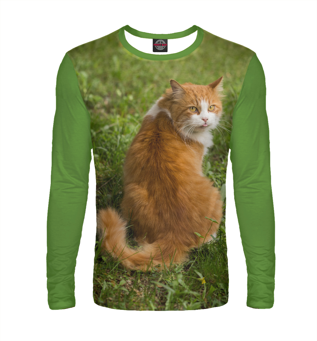 

Котэ
