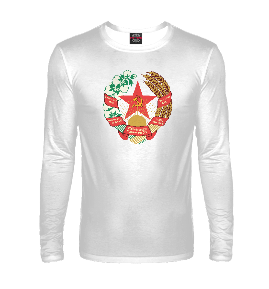 

Таджикская ССР