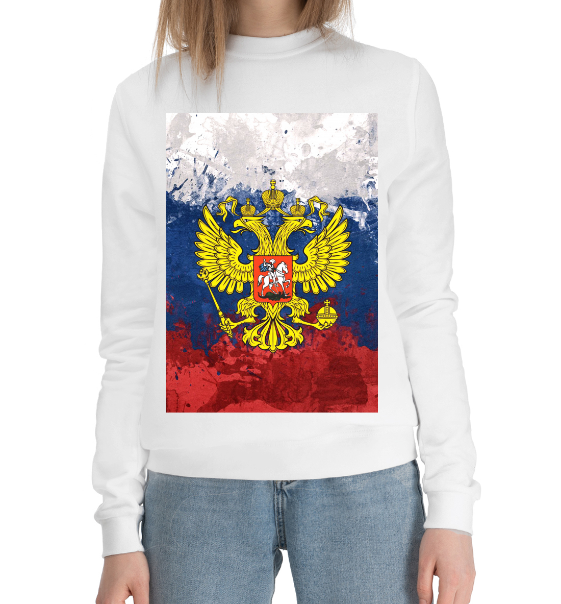 

Триколор и герб